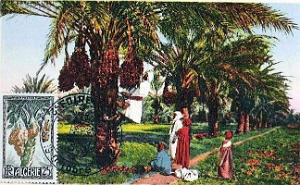 TIMBRES DE LA FOIRE D ORAN 1952   (9)